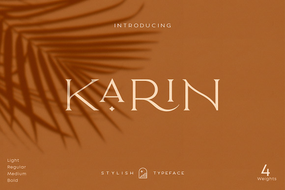 Elegant Karin - Stylish Typeface in Serif Fonts - product preview 25