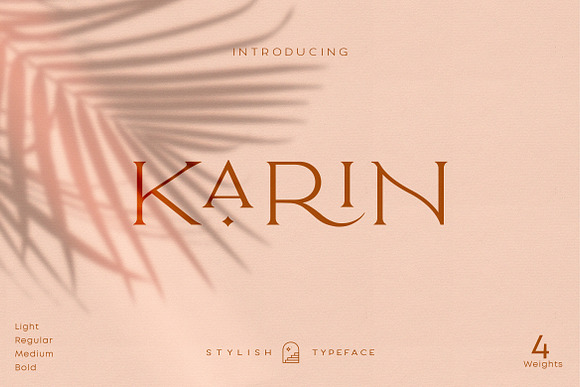 Elegant Karin - Stylish Typeface in Serif Fonts - product preview 26
