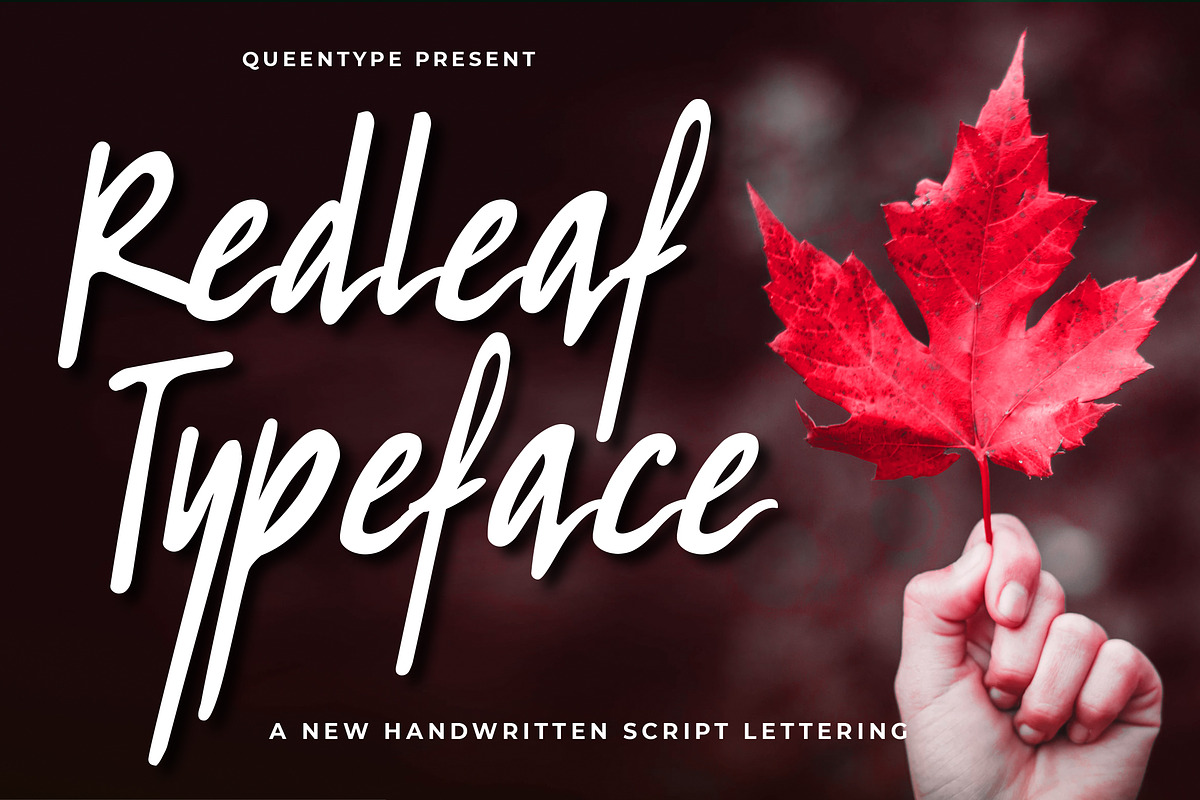 Redleaf Typeface in Script Fonts - product preview 8