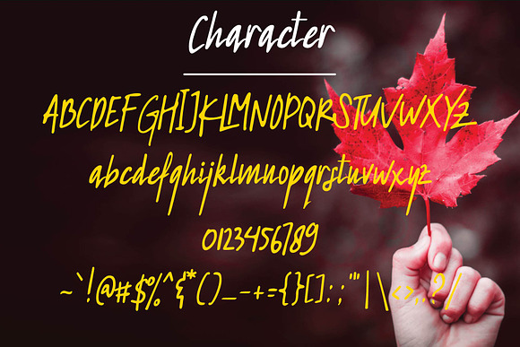 Redleaf Typeface in Script Fonts - product preview 3
