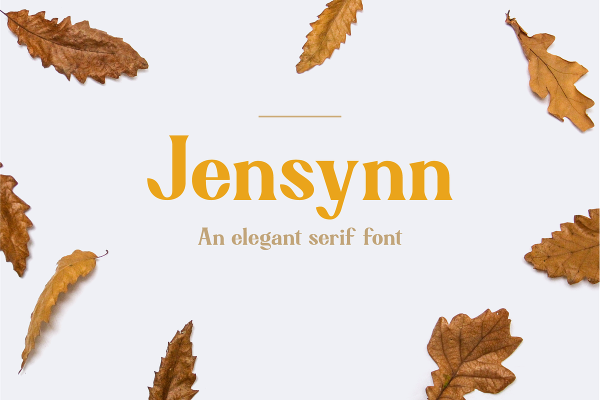 Jensynn in Serif Fonts - product preview 8