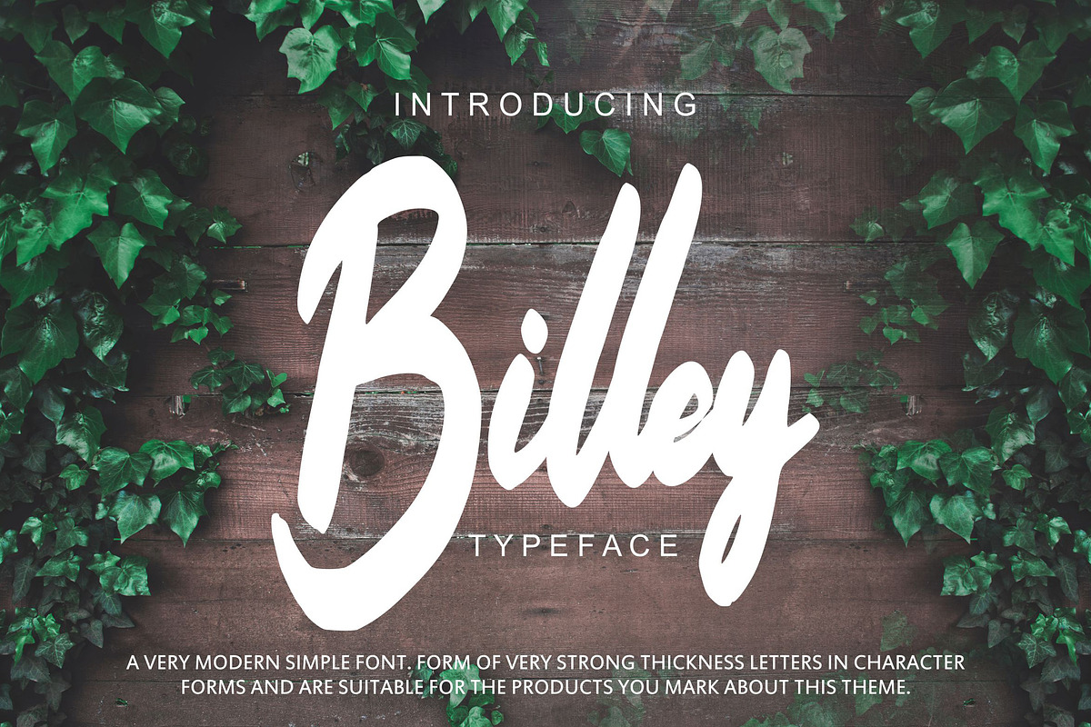 Billey - Handwritten Script in Display Fonts - product preview 8