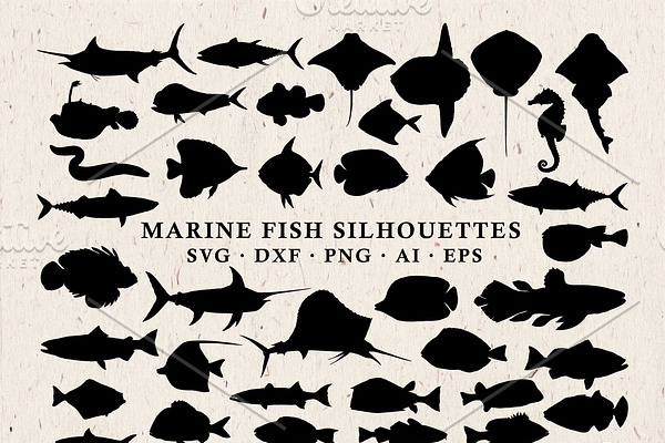 Fish Silhouettes Vector Pack