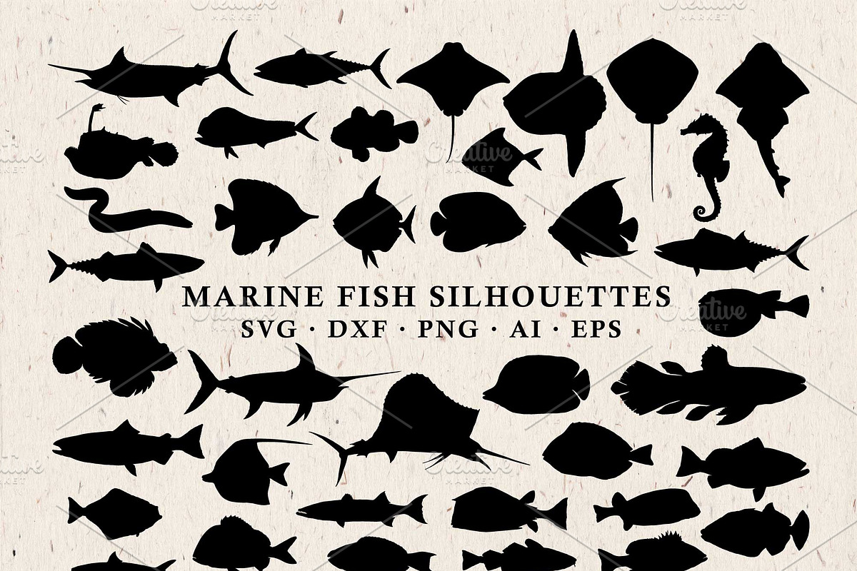 Fish Silhouettes Vector Pack in Illustrations - product preview 8