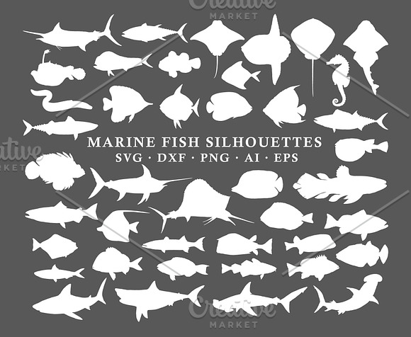 Fish Silhouettes Vector Pack in Illustrations - product preview 1