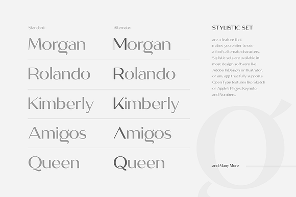 Megante - Classy Font in Display Fonts - product preview 7