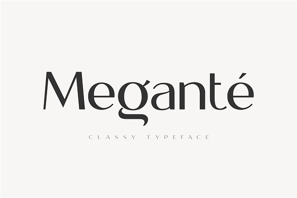 Megante - Classy Font in Display Fonts - product preview 18