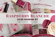 Raspberry Blanche Color Branding Kit