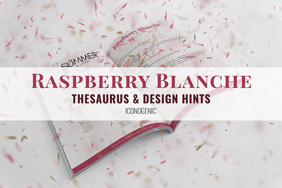 Raspberry Blanche Color Branding Kit in Add-Ons - product preview 2
