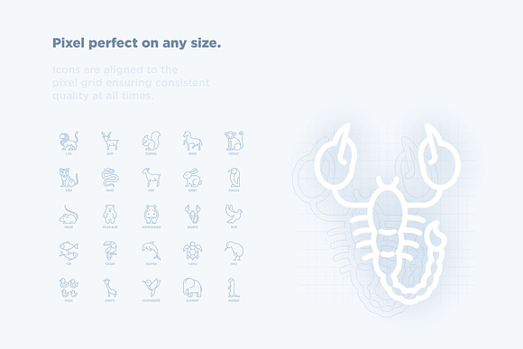 Zoo & Animals | 25 Thin Line Icons in Simple Line Icons - product preview 2