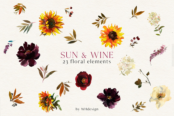 Sunflower Bordo Watercolor Clipart in Illustrations - product preview 4