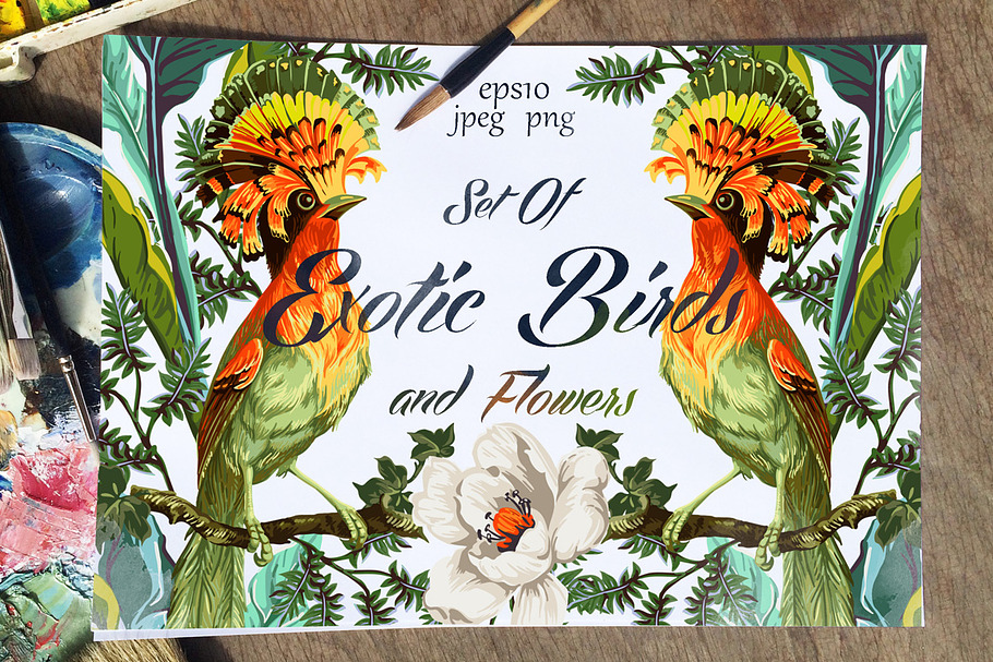 Set of Exotic Birds and Flowers