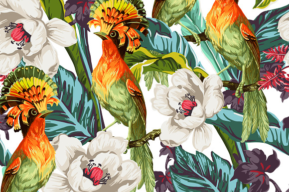 Set of Exotic Birds and Flowers in Patterns - product preview 1