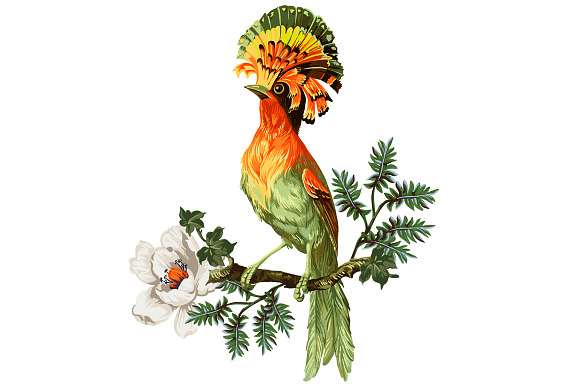 Set of Exotic Birds and Flowers in Patterns - product preview 4