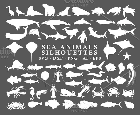 Sea Animals Silhouettes Vector Pack in Illustrations - product preview 1