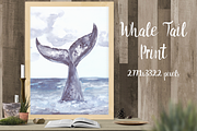 Whale's Tail Watercolor Illustration