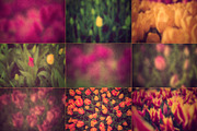 Grunge Blurry Flowers V1
