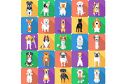 Seamless pattern with dogs flat