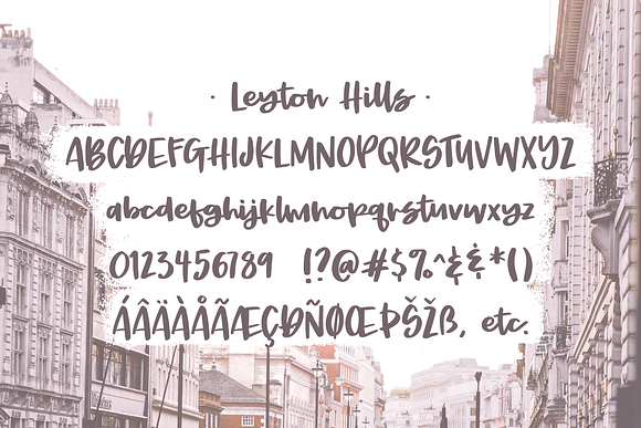 Leyton Hills, a heavy script font in Script Fonts - product preview 1