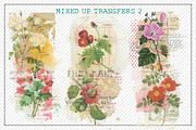 Mixed Up Transfers 2