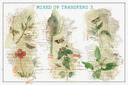 Mixed Up Transfers 3