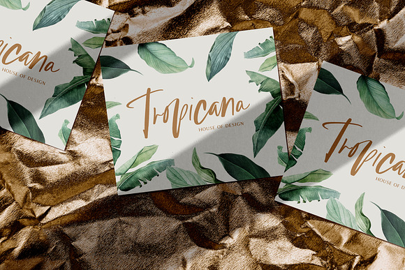 Picasso in Paradise Font in Script Fonts - product preview 9
