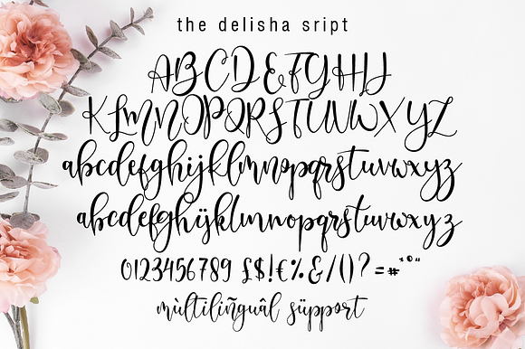 Delisha // Lovely Script Font in Script Fonts - product preview 12