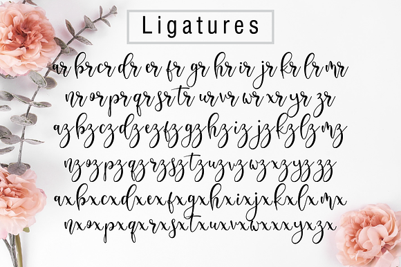 Delisha // Lovely Script Font in Script Fonts - product preview 13