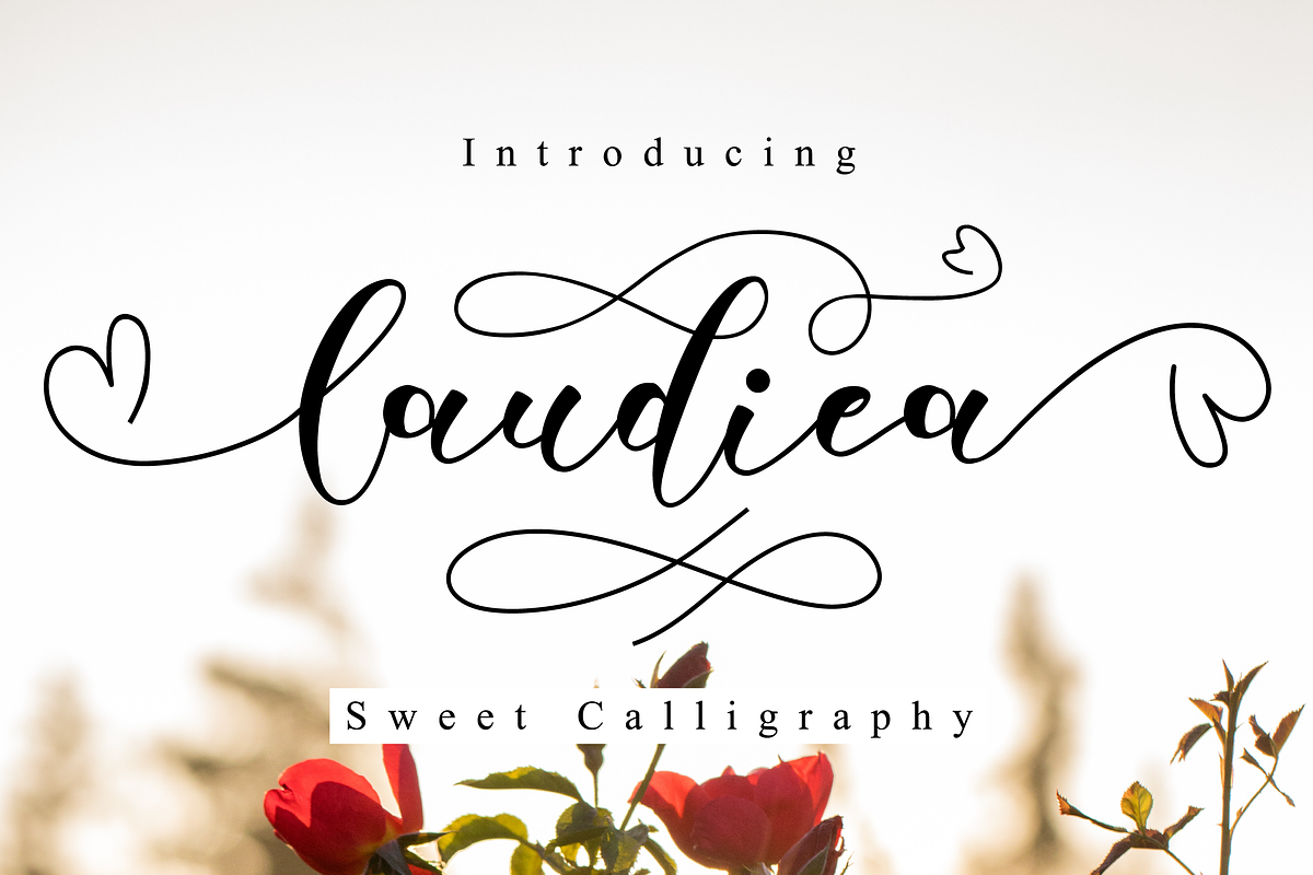 Laudiea // Lovely Script Font in Script Fonts - product preview 8