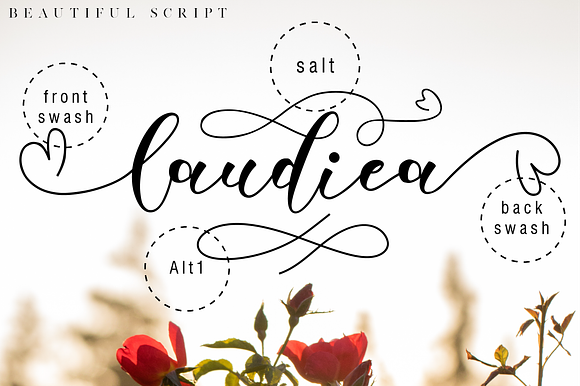 Laudiea // Lovely Script Font in Script Fonts - product preview 5