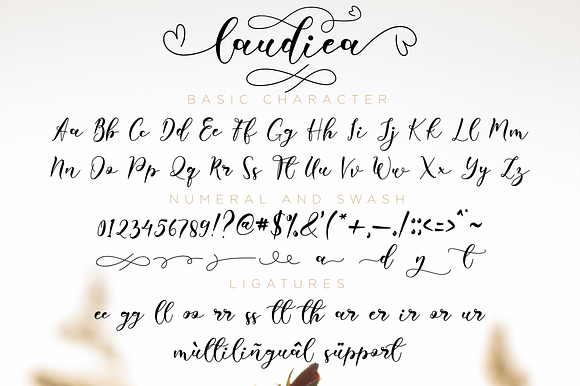 Laudiea // Lovely Script Font in Script Fonts - product preview 6