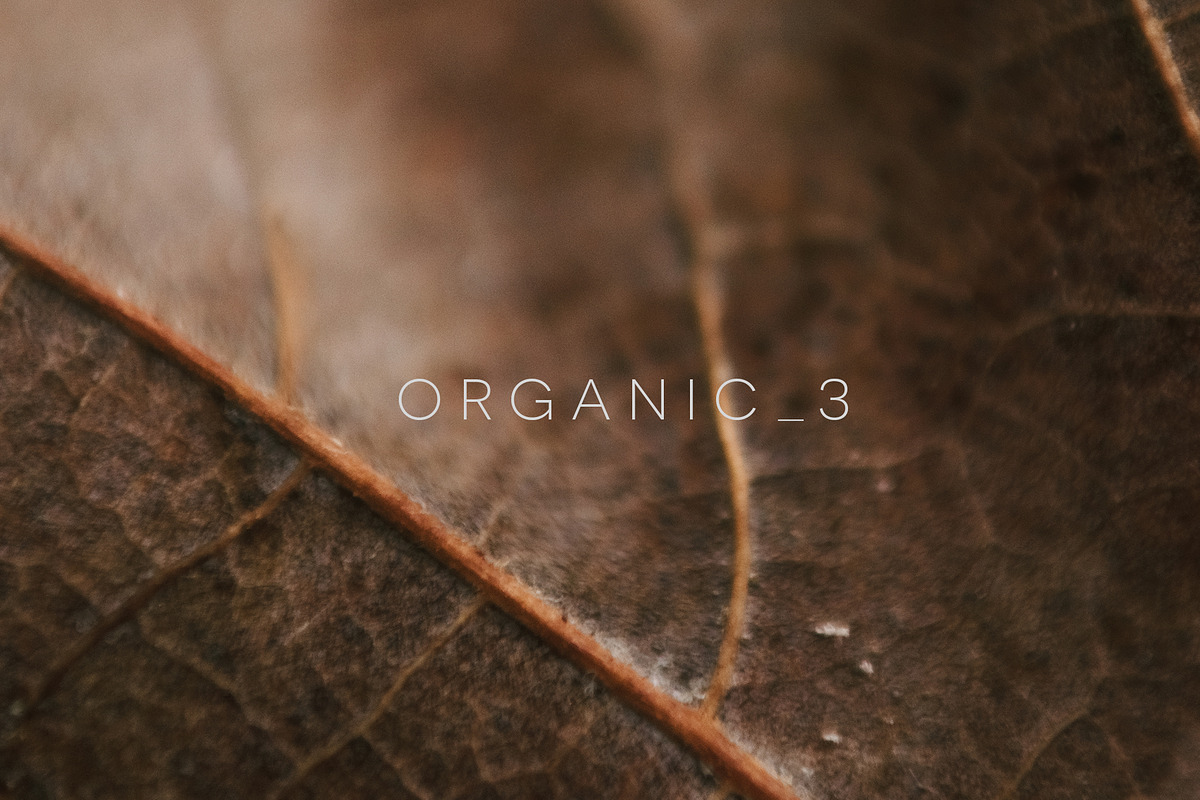 Organic_3 Autumn Colors in Graphics - product preview 8