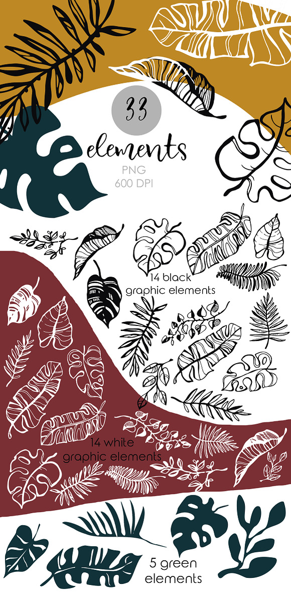 Graphic Tropic set in Illustrations - product preview 1
