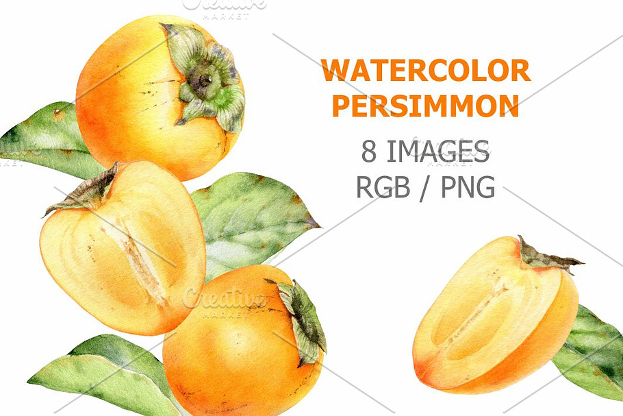 Watercolor persimmon in Illustrations - product preview 8