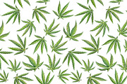 Cannabis Seamless Pattern