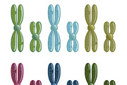 Chromosomes Set