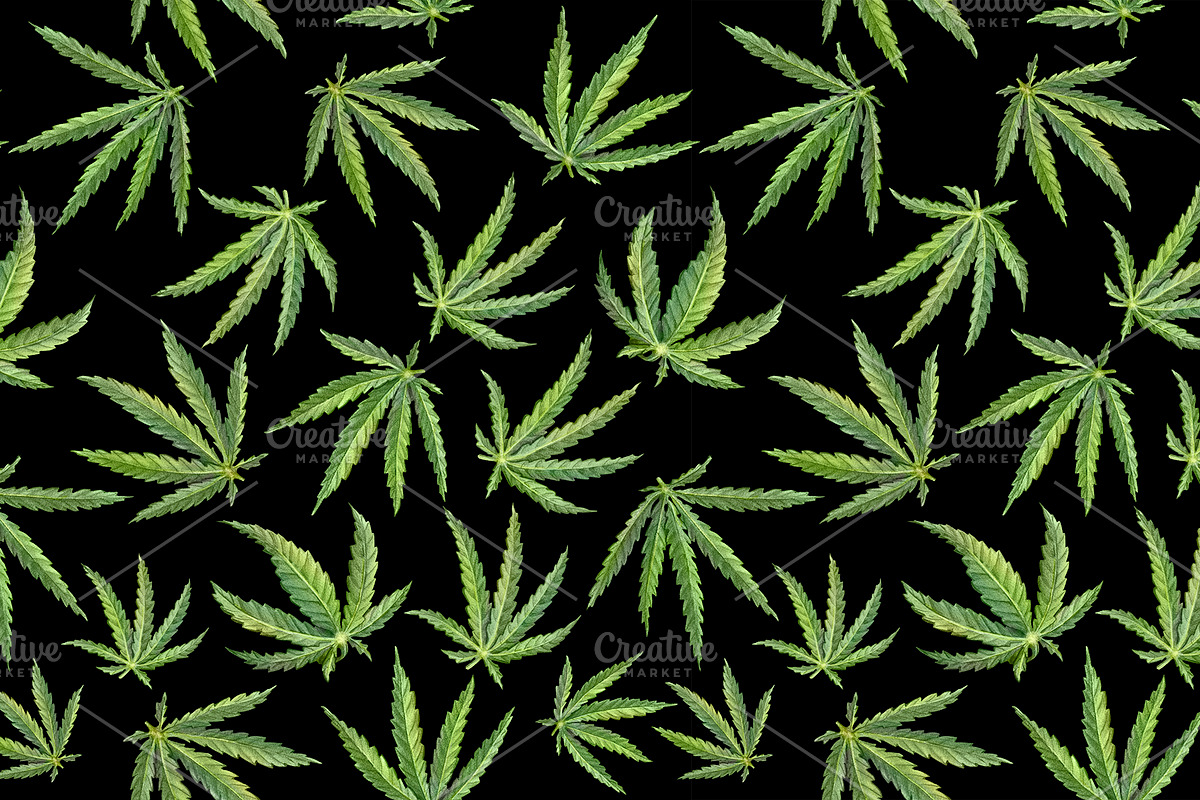 Cannabis Seamless Pattern in Patterns - product preview 8