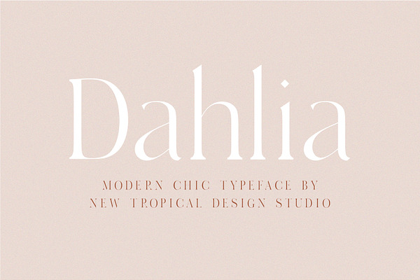 Dahlia - Modern Serif Font