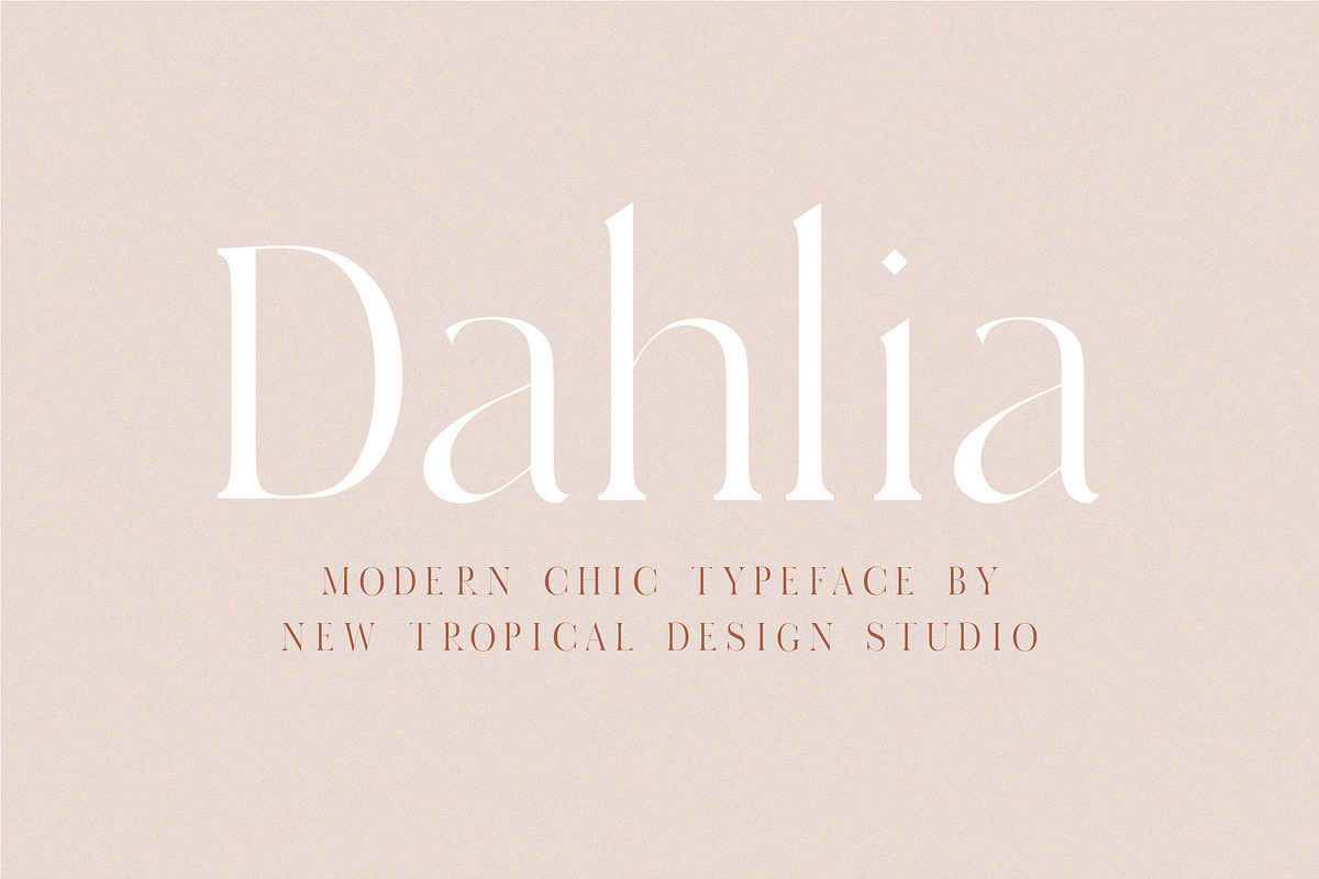 Dahlia - Modern Serif Font in Serif Fonts - product preview 8
