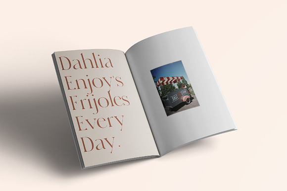 Dahlia - Modern Serif Font in Serif Fonts - product preview 6