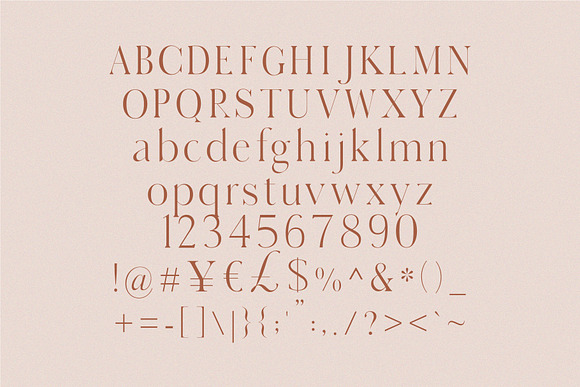 Dahlia - Modern Serif Font in Serif Fonts - product preview 7