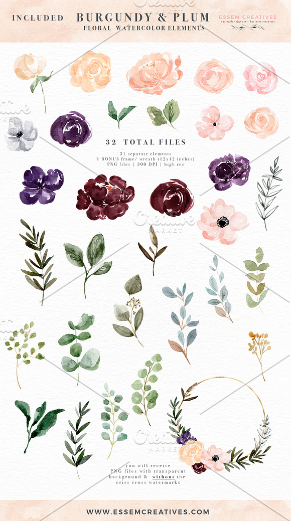 Burgundy Plum Watercolor Flowers in Illustrations - product preview 2