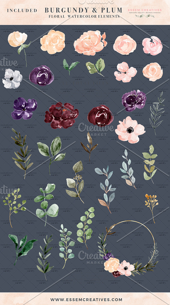 Burgundy Plum Watercolor Flowers in Illustrations - product preview 3