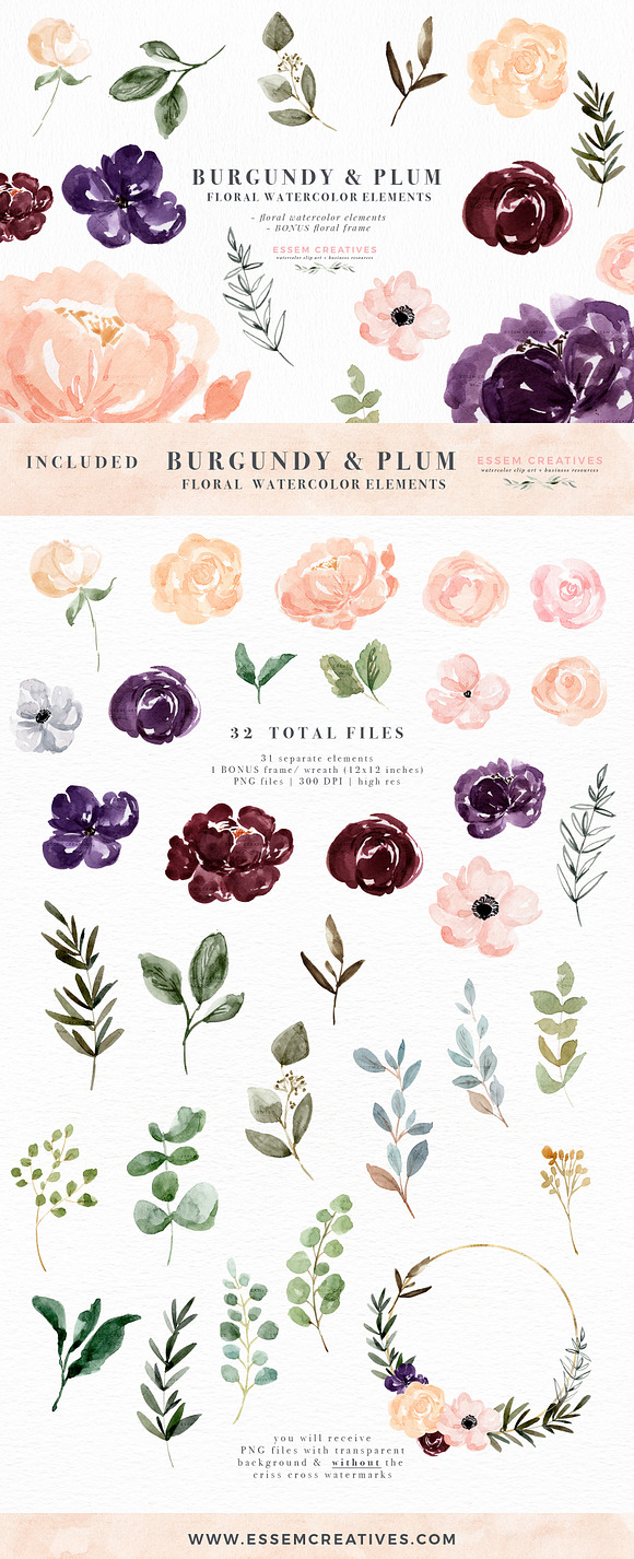 Burgundy Plum Watercolor Flowers in Illustrations - product preview 4