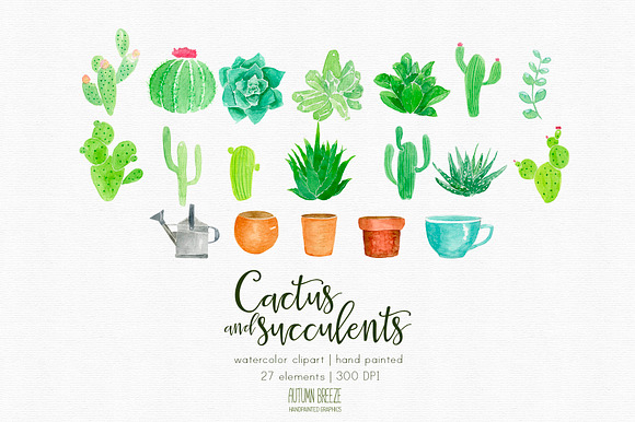 watercolor  CXactus and succulents in Illustrations - product preview 2