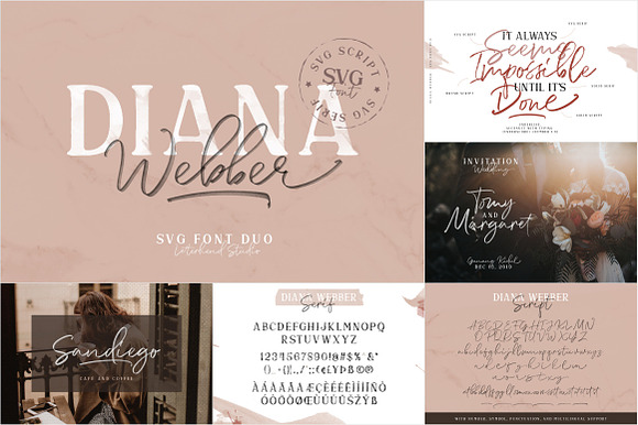 ALL-YOU-NEED BUNDLE VOL 2.0! in Script Fonts - product preview 23