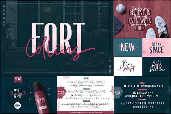 ALL-YOU-NEED BUNDLE VOL 2.0! in Script Fonts - product preview 26