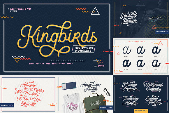 ALL-YOU-NEED BUNDLE VOL 2.0! in Script Fonts - product preview 39