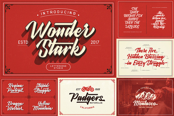 ALL-YOU-NEED BUNDLE VOL 2.0! in Script Fonts - product preview 73