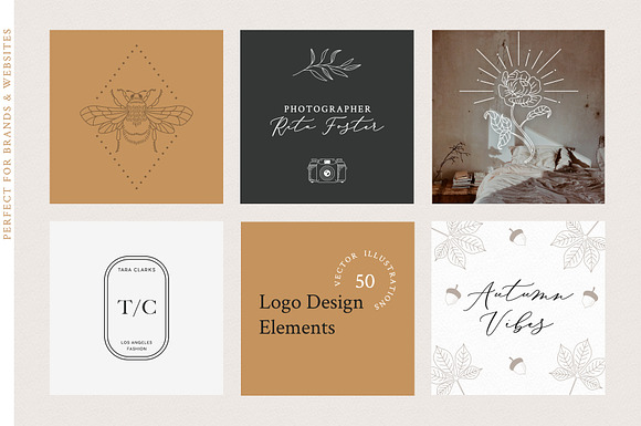 Logo Elements Collection | 50 pieces in Illustrations - product preview 8
